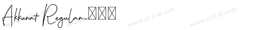 Akkurat Regular字体转换